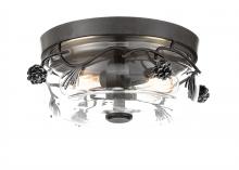 Minka-Lavery 2759-694 - 2 LIGHT FLUSH MOUNT