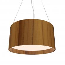 Accord Lighting Canada 202LED.12 - Cylindrical Accord Pendant 202 LED