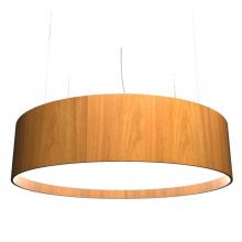 Accord Lighting Canada 205LED.09 - Cylindrical Accord Pendant 205 LED