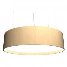 Accord Lighting Canada 205LED.34 - Cylindrical Accord Pendant 205 LED