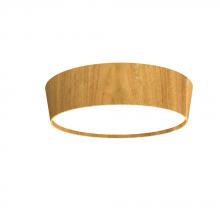 Accord Lighting Canada 585LED.09 - Conical Accord Ceiling Mounted 585 LED