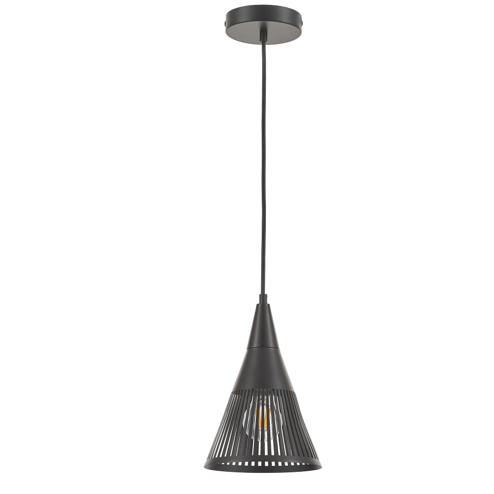 1 Light Pendant in Matte Black