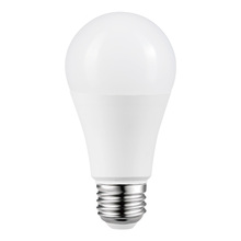 A19 LED